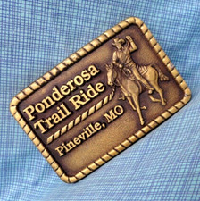 Ponderosa trail ride for sale  Torrington