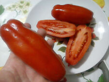 Pomodoro san marzano usato  Tivoli