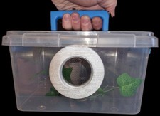 Praying mantis enclosure for sale  ORMSKIRK