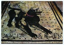 Cartão postal antigo Pompeia mosaico romano cuidado com a caverna do cachorro Canem não publicado comprar usado  Enviando para Brazil