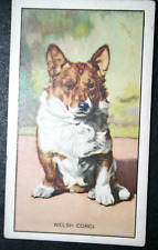 Cartão ilustrado WELSH CORGI vintage 1936 BD24MS comprar usado  Enviando para Brazil