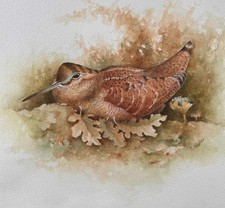 Contemporary watercolour woodc for sale Contemporary watercolour woodc for sale  NORWICH