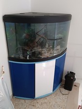 Acquario juwel usato usato  San Vincenzo