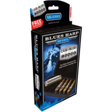 Hohner armonica blues usato  Roccagloriosa