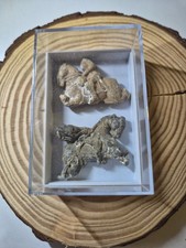 Römische bronzefunde gebraucht kaufen Römische bronzefunde gebraucht kaufen  Gütersloh