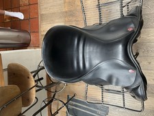 Jeffries english havana for sale  DERBY