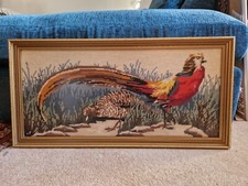 Vintage golden pheasant for sale  FORFAR
