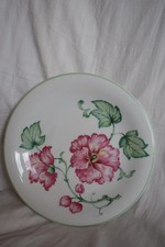 Porzellan speiseteller blumenm gebraucht kaufen  Auerbach/Vogtl.