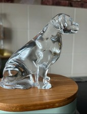 Waterford crystal labrador for sale Waterford crystal labrador for sale  COLCHESTER