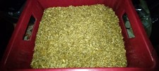 500gr tabac blond d'occasion  Rostrenen