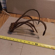 Vtg antique garden for sale  Sharon