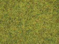 Streugras wiese 50220 gebraucht kaufen  Hannover