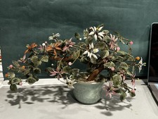 Vintage chinese hand for sale  Harlan