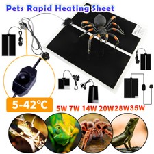 Adjustable temperature reptile for sale  BIRMINGHAM
