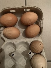 Ausgeblasene echte eier gebraucht kaufen  Attenkirchen