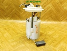 Kraftstoffpumpe benzinpumpe pe gebraucht kaufen  Wesseling