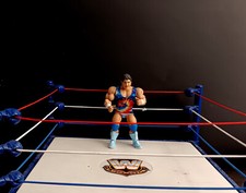 Rock muraco mattel for sale  Concord