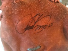 Antron brown signed for sale  Palm Bay