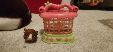 004 guinea pig for sale  Des Moines