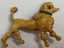 dog poodle for sale  Stanchfield