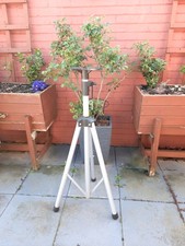 Telescopic stand for sale  NORWICH