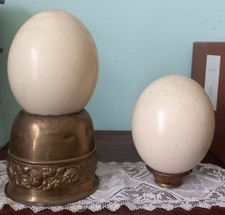 Due coppia uova usato  Crema