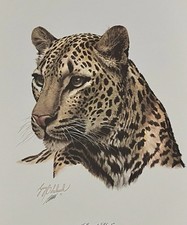 Guy coheleach leopard for sale  High Point