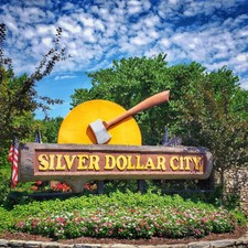 Silver dollar city for sale  USA