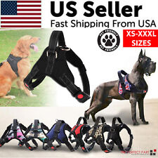 Pull dog pet for sale  Pompano Beach