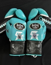 Luvas raras sem boxe sem vida Canelo Alvarez, usado comprar usado  Enviando para Brazil