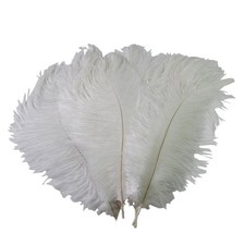 Pack ostrich feathers for sale  Casper
