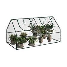 Small greenhouse outdoors for sale  Haverhill