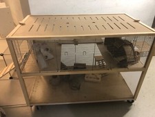 Hamsterkäfig xxl zubehör gebraucht kaufen Hamsterkäfig xxl zubehör gebraucht kaufen  Hamburg