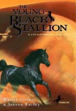 Young black stallion for sale  Montgomery