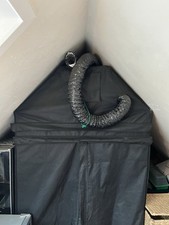 Xxl growbox komplettset gebraucht kaufen  Zwingenberg