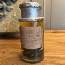 Spécimen humide couleuvre d'occasion  Bordeaux-
