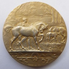 Médaille vermeil syndicat d'occasion Médaille vermeil syndicat d'occasion  Dunkerque-