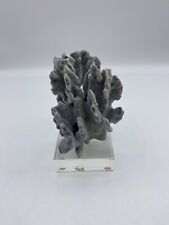 Blue ridge coral for sale  Indianola