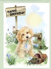 Biglietto compleanno cane usato  Spedire a Italy