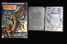 Animali album figurine usato  Roma