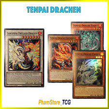 Yugioh tenpai drachen gebraucht kaufen  Berlin
