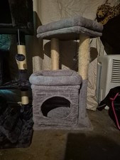 Multi level cat for sale  Washington