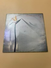 Disco vinile giri usato  Montelabbate