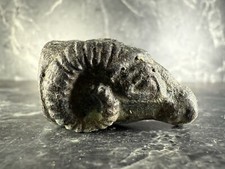 Scarce ancient roman for sale  GREAT YARMOUTH