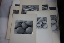 Photographies art nature d'occasion  Seyssel