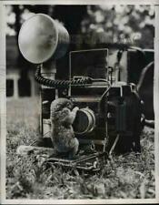 1955 press photo for sale  Arlington