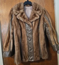 Gorgeous chestnut mink for sale  West Hartford