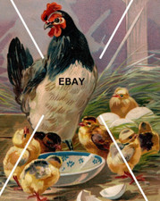 1909 embossed postcard for sale  Tenino