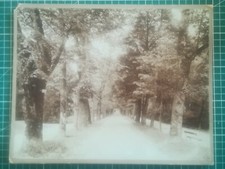 Qq109 photo tbe d'occasion  Angers-