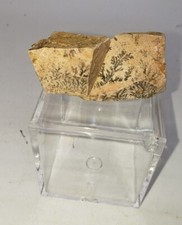 Mount sinai stones for sale  Brooklyn